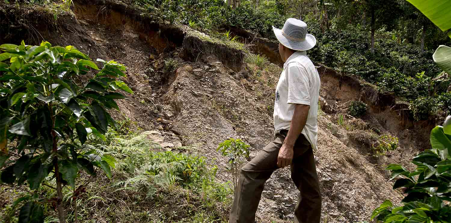 Coffee farmer looking at landslide in Colombia Cauca on his farm