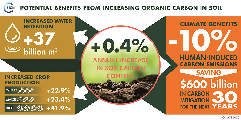 carbon-soil-infographic-100x500-web