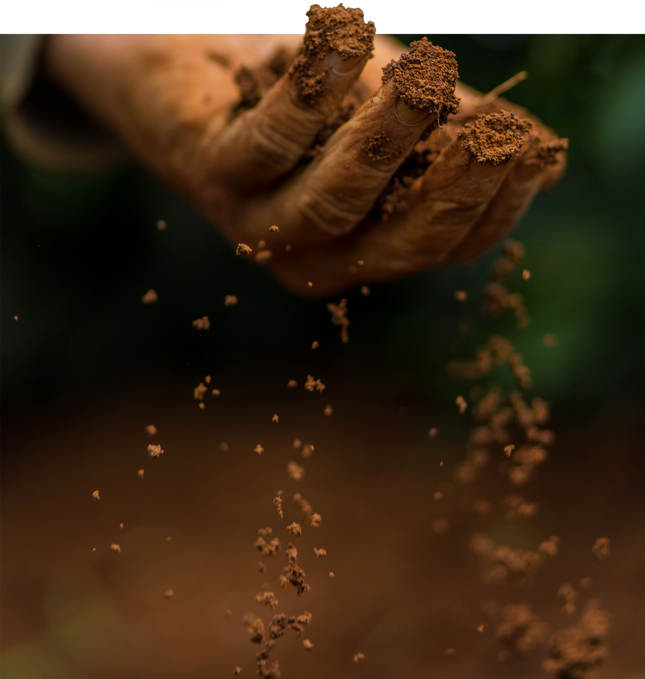 Hand on brazil soil