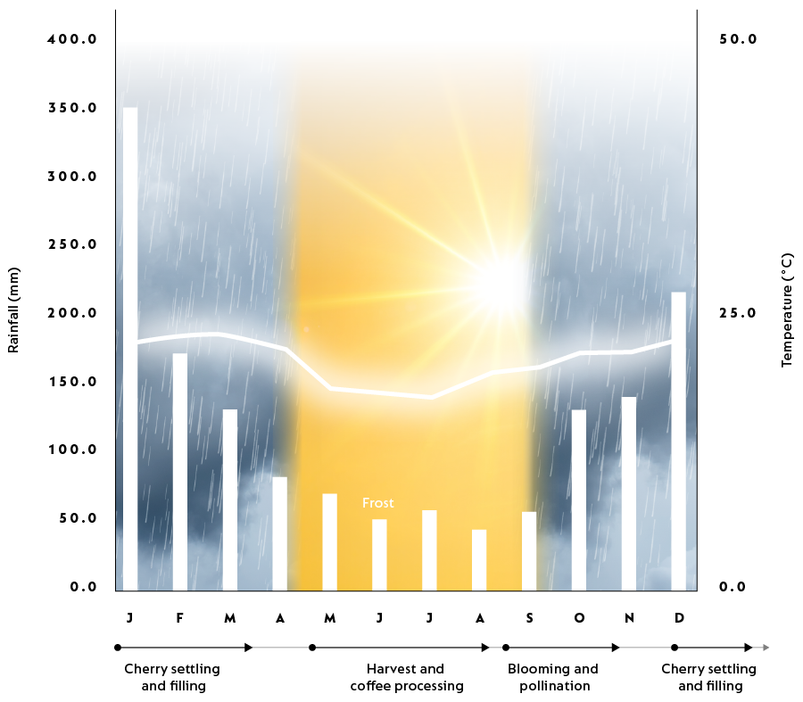 Cerrado Rain Fall Chart