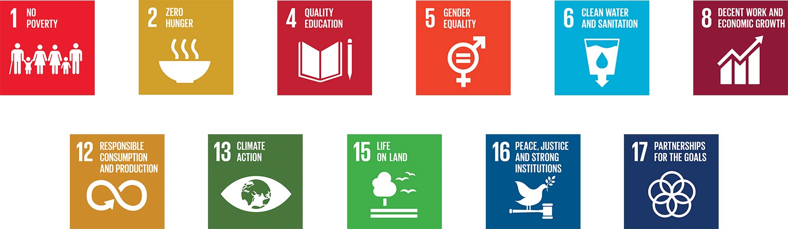 Icons depicting Nespresso's involvement in the UN Sustainable Development Goals