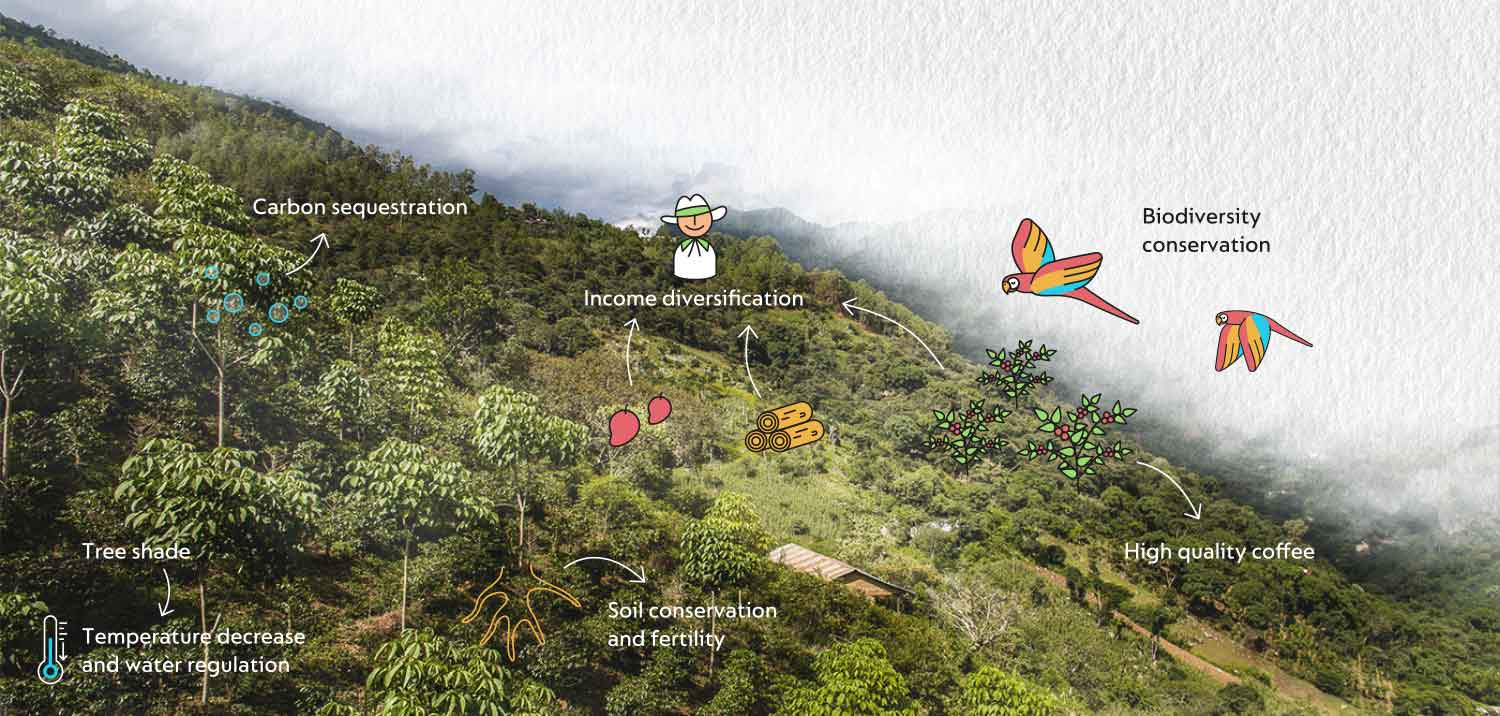 Pure Project Infography